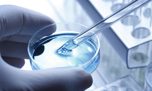 從三福化工子公司三福生技之新藥開發部門分割設立三福生醫公司。