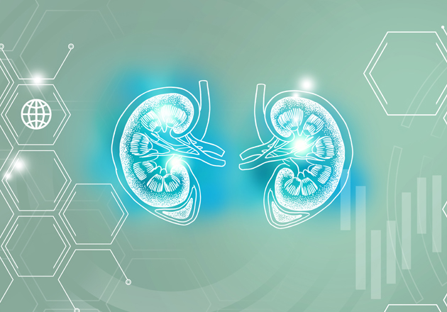 什麼是腎臟移植排斥