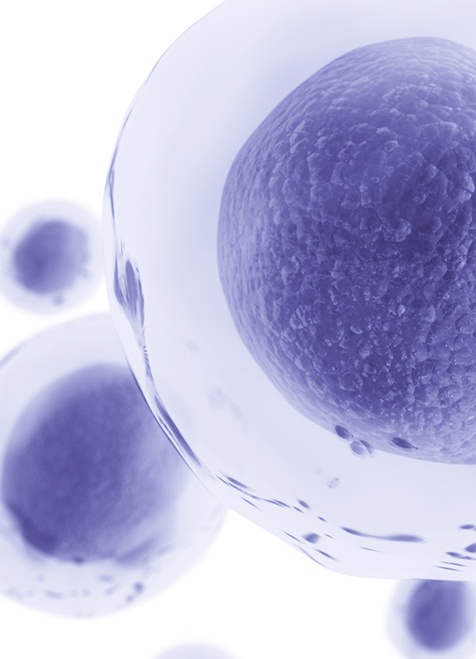 免疫疾病 Immunology